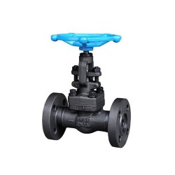 進(jìn)口法蘭鍛鋼截止閥