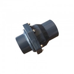 進(jìn)口PVC塑料止回閥丨水廠常用進(jìn)口止回閥