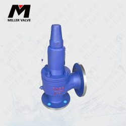 進(jìn)口主安全閥