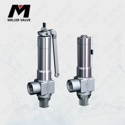 進(jìn)口安全閥