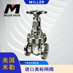 進口美標(biāo)閘閥
