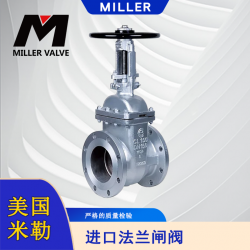 進口法蘭閘閥