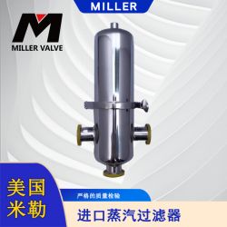 進(jìn)口蒸汽過(guò)濾器