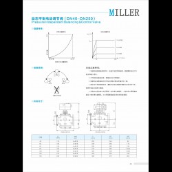 進(jìn)口動(dòng)態(tài)平衡電動(dòng)調(diào)節(jié)閥DN15