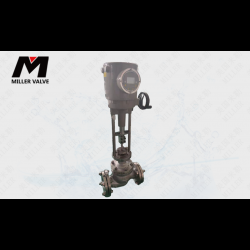 進(jìn)口電動套筒調(diào)節(jié)閥