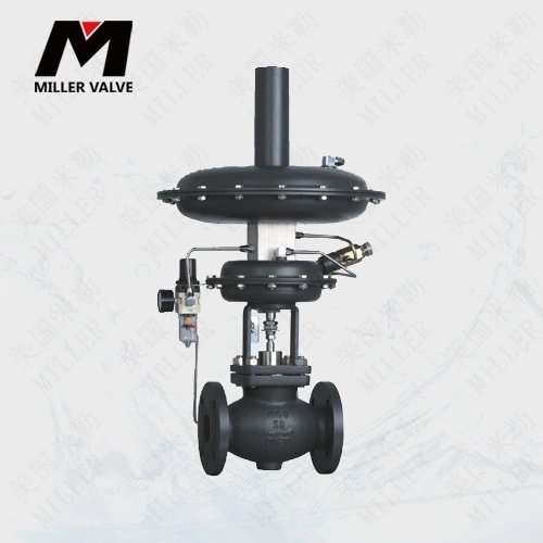 進(jìn)口自力式氮封閥