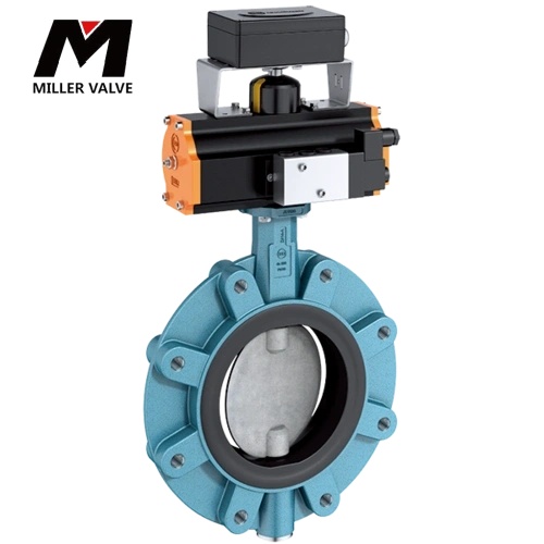 進口支耳式蝶閥