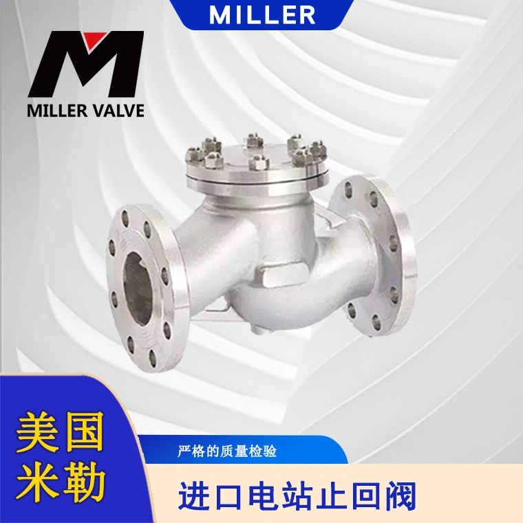 進口球形止回閥