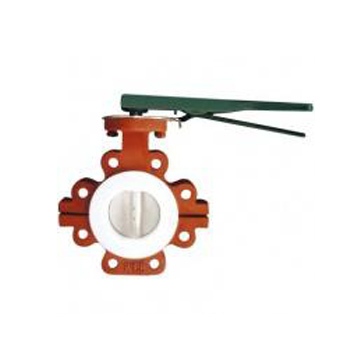 進(jìn)口凸耳蝶閥