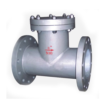 進(jìn)口T型過濾器