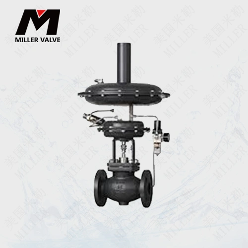 進(jìn)口泄氮閥