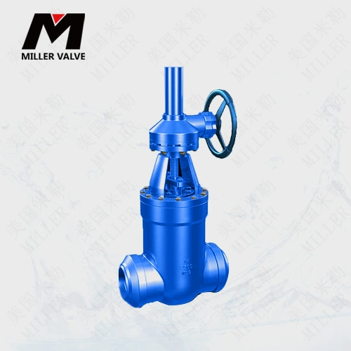 進(jìn)口波紋管閘閥