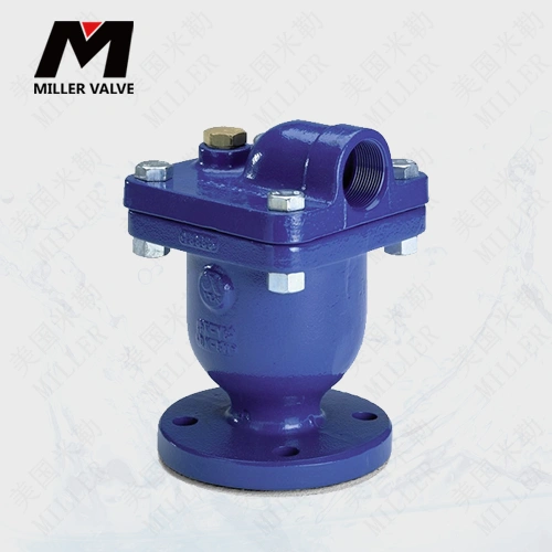 進(jìn)口組合式排氣閥