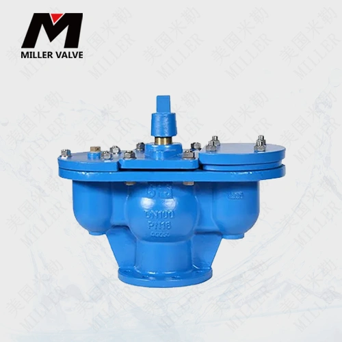 進(jìn)口防水錘空氣閥