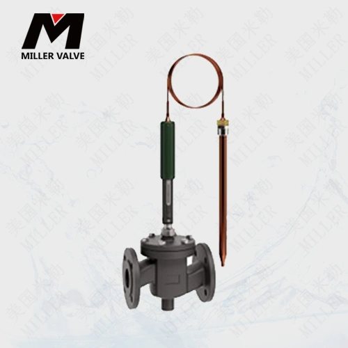 進(jìn)口自力式流量溫度組合閥