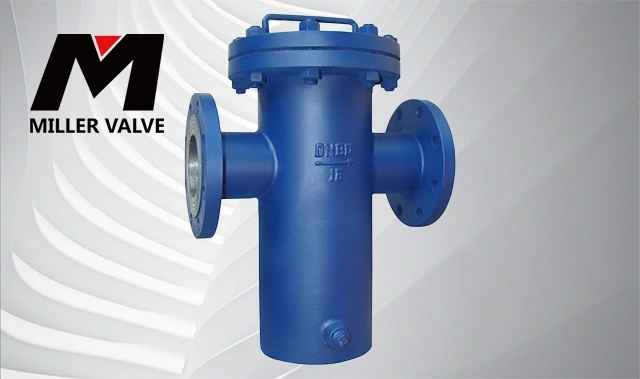 進(jìn)口籃式過濾器