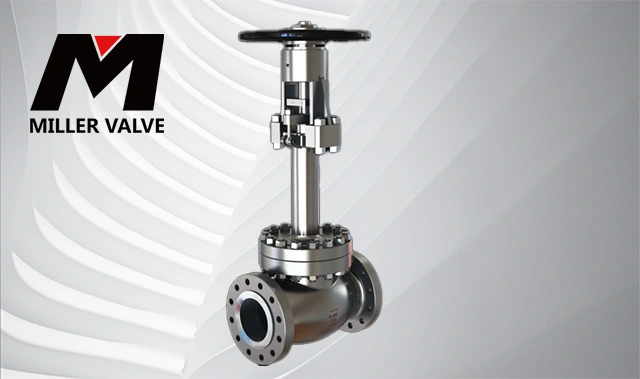 進(jìn)口低溫截止閥