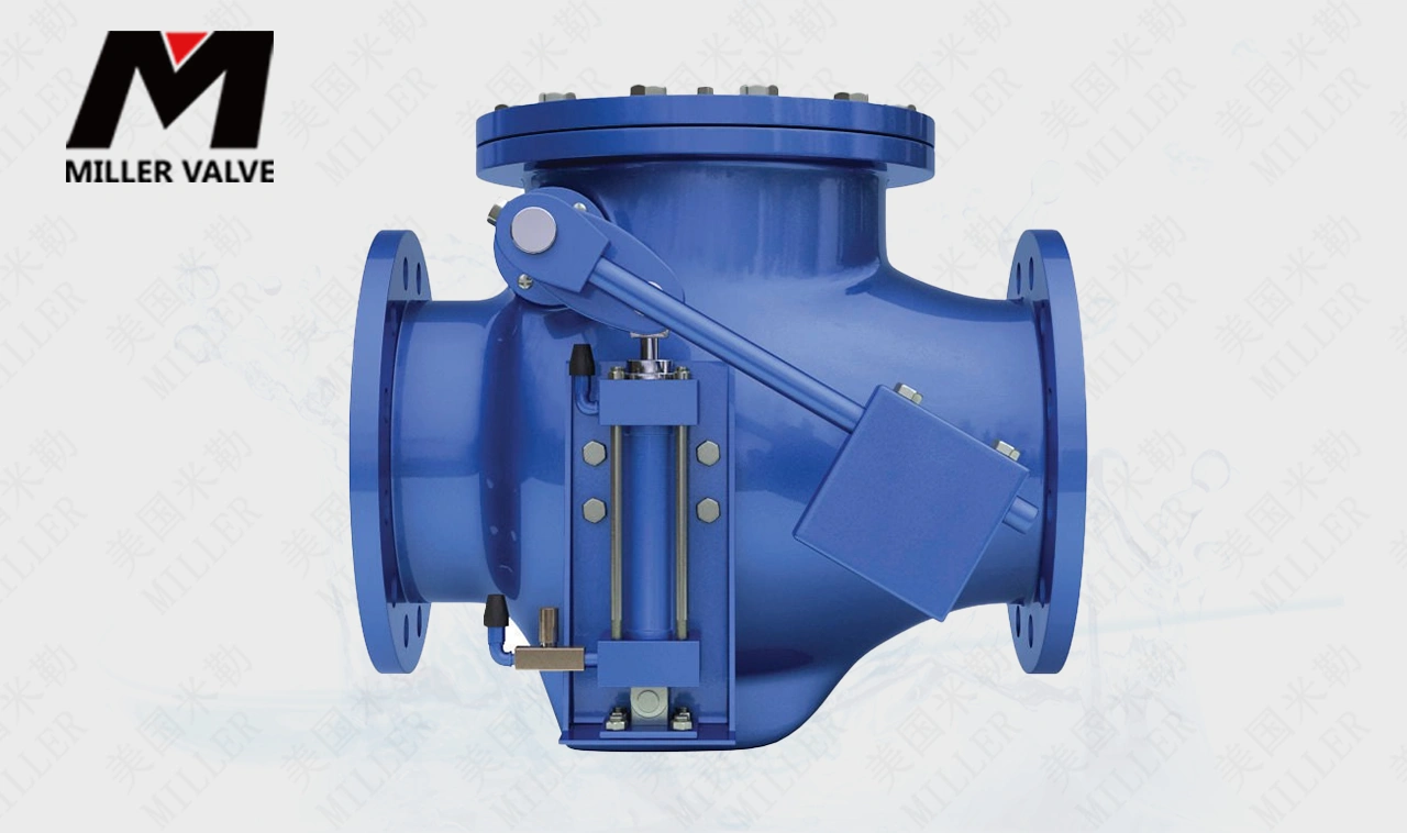 進(jìn)口多功能止回閥