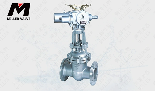 進(jìn)口電站閘閥