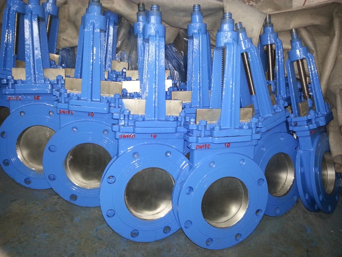 進(jìn)口刀型閘閥